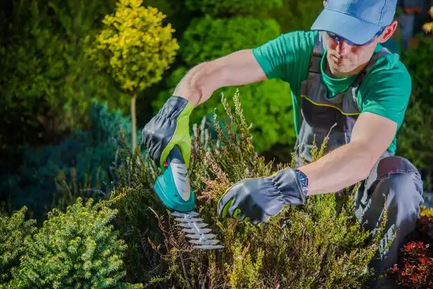 landscaping services Columbus Grove